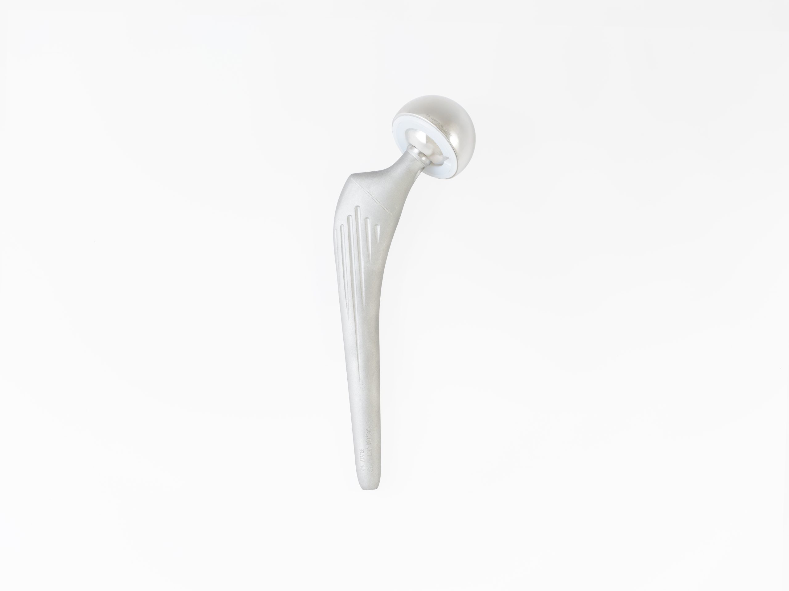 Cemented Hip Joint